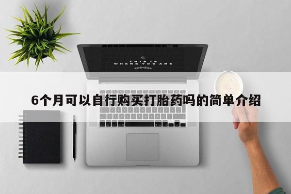 有些私人卖打胎药6个月可以自行购买打胎药吗的简单介绍
